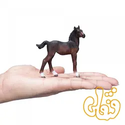 کره اسب هانوفر Hanoverian Foal Baby 381018