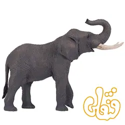 فیل آفریقایی African Elephant 381005