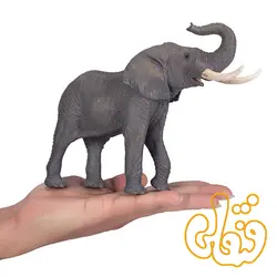 فیل آفریقایی African Elephant 381005