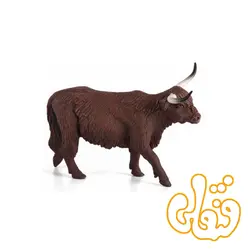 گاو کوهی Highland Cow 387199