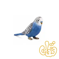 مرغ عشق آبی Budgerigar Blue 387292