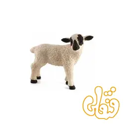 بره ایستاده صورت سیاه Black Faced Lamb Standing 387059