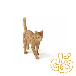 گربه ماده زرد Ginger Tabby Cat 387283