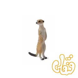 دم عصایی Meerkat 387125