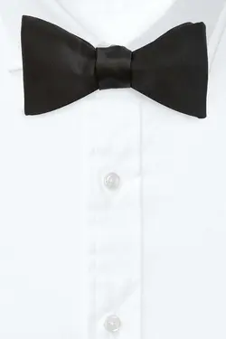 پاپیون ابریشم برند Ralph Lauren کد 1668341104