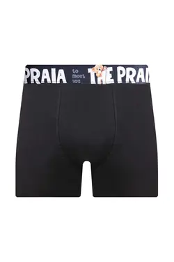 لباس زیر جعبه‎دار 3عدد Teddy مردانه برند THE PRAIA کد 1668552004