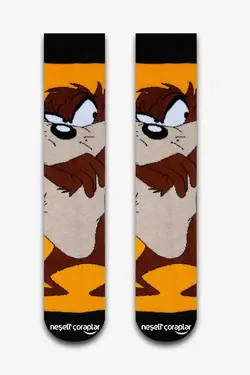 ست خطدار 3 برند Neşeli Çoraplar کد 1669282804