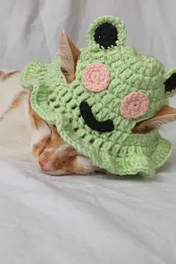 کلاه بافتنی سگ گربه قورباغه سطل برند Furrever Crochet کد 1682321603