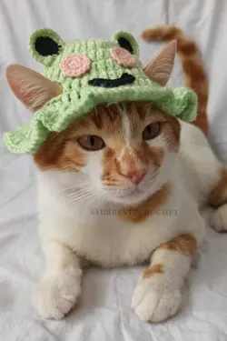کلاه بافتنی سگ گربه قورباغه سطل برند Furrever Crochet کد 1682321603