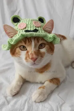 کلاه بافتنی سگ گربه قورباغه سطل برند Furrever Crochet کد 1682321603
