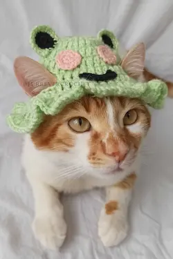 کلاه بافتنی سگ گربه قورباغه سطل برند Furrever Crochet کد 1682321603