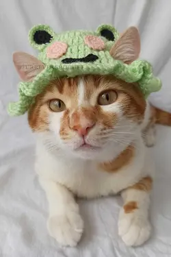 کلاه بافتنی سگ گربه قورباغه سطل برند Furrever Crochet کد 1682321603