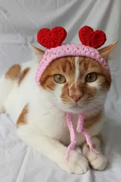 کلاه بافتنی سگ گربه قلبدار قرمز دستمال سر برند Furrever Crochet کد 1682332093