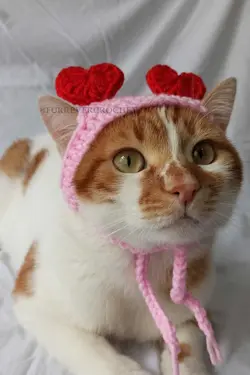 کلاه بافتنی سگ گربه قلبدار قرمز دستمال سر برند Furrever Crochet کد 1682332093