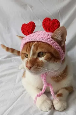کلاه بافتنی سگ گربه قلبدار قرمز دستمال سر برند Furrever Crochet کد 1682332093