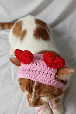 کلاه بافتنی سگ گربه قلبدار قرمز دستمال سر برند Furrever Crochet کد 1682332093
