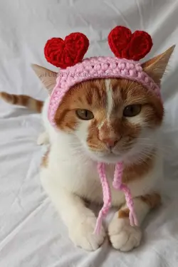 کلاه بافتنی سگ گربه قلبدار قرمز دستمال سر برند Furrever Crochet کد 1682332093
