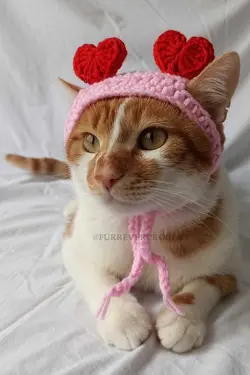 کلاه بافتنی سگ گربه قلبدار قرمز دستمال سر برند Furrever Crochet کد 1682332093