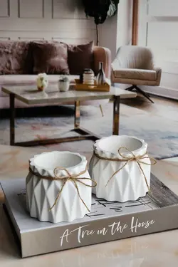 گلدان تزئینی کوچک کاکتوس برند Serengeti کد 1685624269