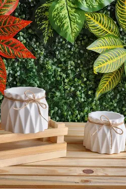 گلدان تزئینی کوچک کاکتوس برند Serengeti کد 1685624269