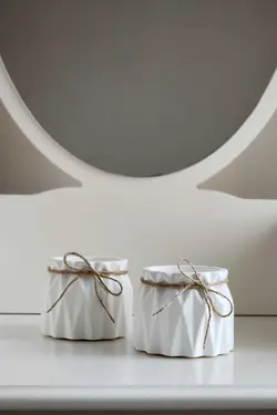 گلدان تزئینی کوچک کاکتوس برند Serengeti کد 1685624269