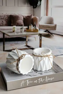 گلدان تزئینی کوچک کاکتوس برند Serengeti کد 1685624269