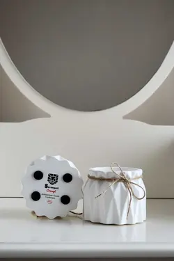 گلدان تزئینی کوچک کاکتوس برند Serengeti کد 1685624269