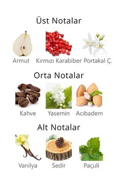 ادکلن 3ست 50میلی لیتر x برند Aqua Di Polo 1987 کد 1688327734