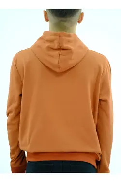 سوییشرت کلاهدار پارچه 3نخ آجری برند Kaktüs کد 1642489917