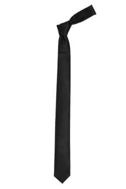 کراوات ساده مشکی برند Tudors کد 1641854349