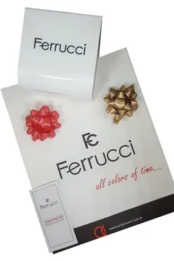 ساعت مچی مردانه با تقویم مربع برند Ferrucci کد 1647586150