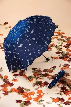 چتر فولادی ضد زنگ فلزی ویژه زنانه آبی , برند obenim کد 1647572111