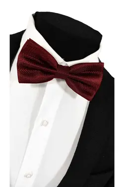 پاپیون طرحدار رنگ زرشکی برند BLC Basic Line Co. کد 1696555878