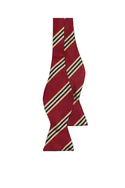 پاپیون رنگی مردانه برند BROOKS BROTHERS کد 1648745173