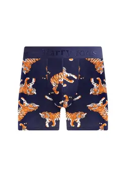 شلوارک لباس زیر بسته ساده لایکرا پارچه ویژه 1.0 مردانه برند Harry Jons کد 1648714931