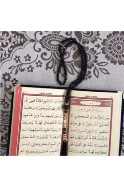10 1سجاده 3تکه مشکی برند Çapa Home کد 1649278774