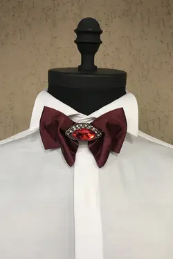 پاپیون جعبه‎دار نگین دار طراحی ویژه زرشکی مردانه برند Quesste Accessory کد 1649292379