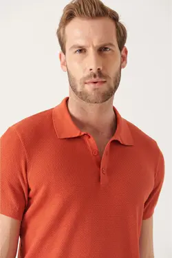 تیشرت بافتنی جاکاردار یقه سه دکمه آجری مردانه برند Avva کد 1650839467