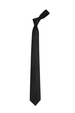 کراوات ساده با دستمال مردانه کلاسیک برند Tudors کد 1651740822