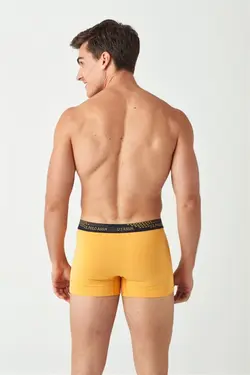لباس زیر 2‎تکه سرمه ای زرد مردانه برند US Polo Assn کد 1651702988