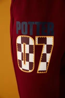 potter زرشکی برند Penti کد 1662628570