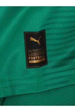 پلیور دروازه بان 22سبز برند Fenerbahçe کد 1663614137