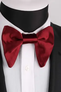 پاپیون ساتن زرشکی برند La Pescara کد 1664810403