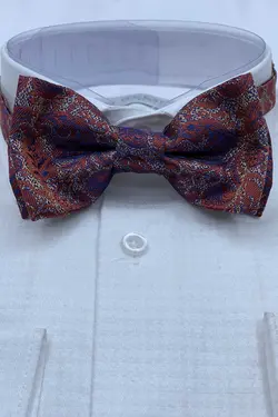 پاپیون جعبه‎دار طرح‎دار سرمه ای آجری مردانه برند Quesste Accessory کد 1664811004