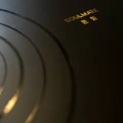 باتری دوربین سال میت مدل S-H-FZ100 کد SONI