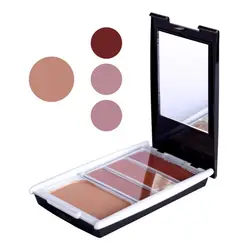 رژگونه و هایلایتر پرامیننت مدل Prominent B03