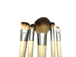 ست براش میکاپ 5 عددی ECOTOOLS