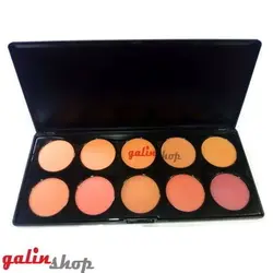 پالت رژگونه 10 رنگ دنی