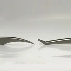 پنس کاشت مژه سالن Salon