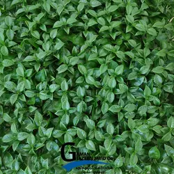 دیوار سبز مصنوعی مدل پرتقالی